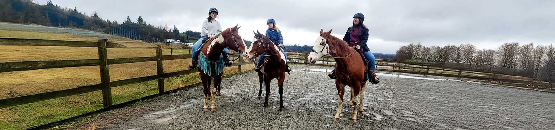 riding lessons